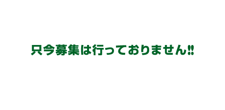 只今募集は行っておりません！！